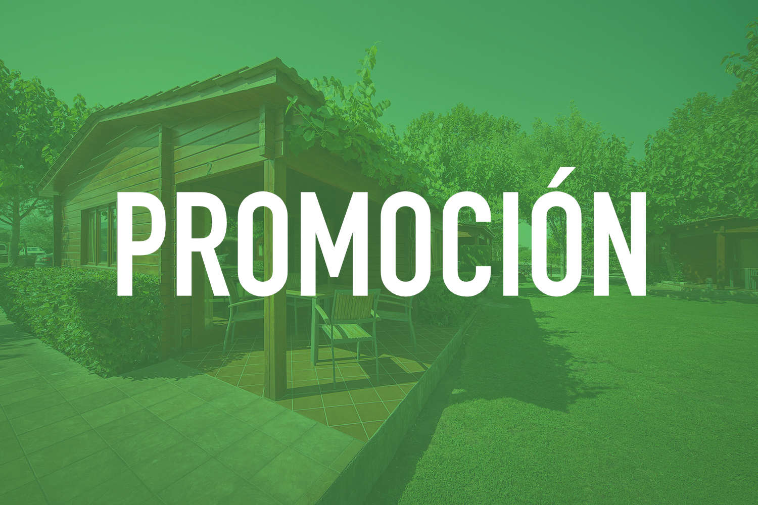 Descubre la Naturaleza en Camping Els Ports